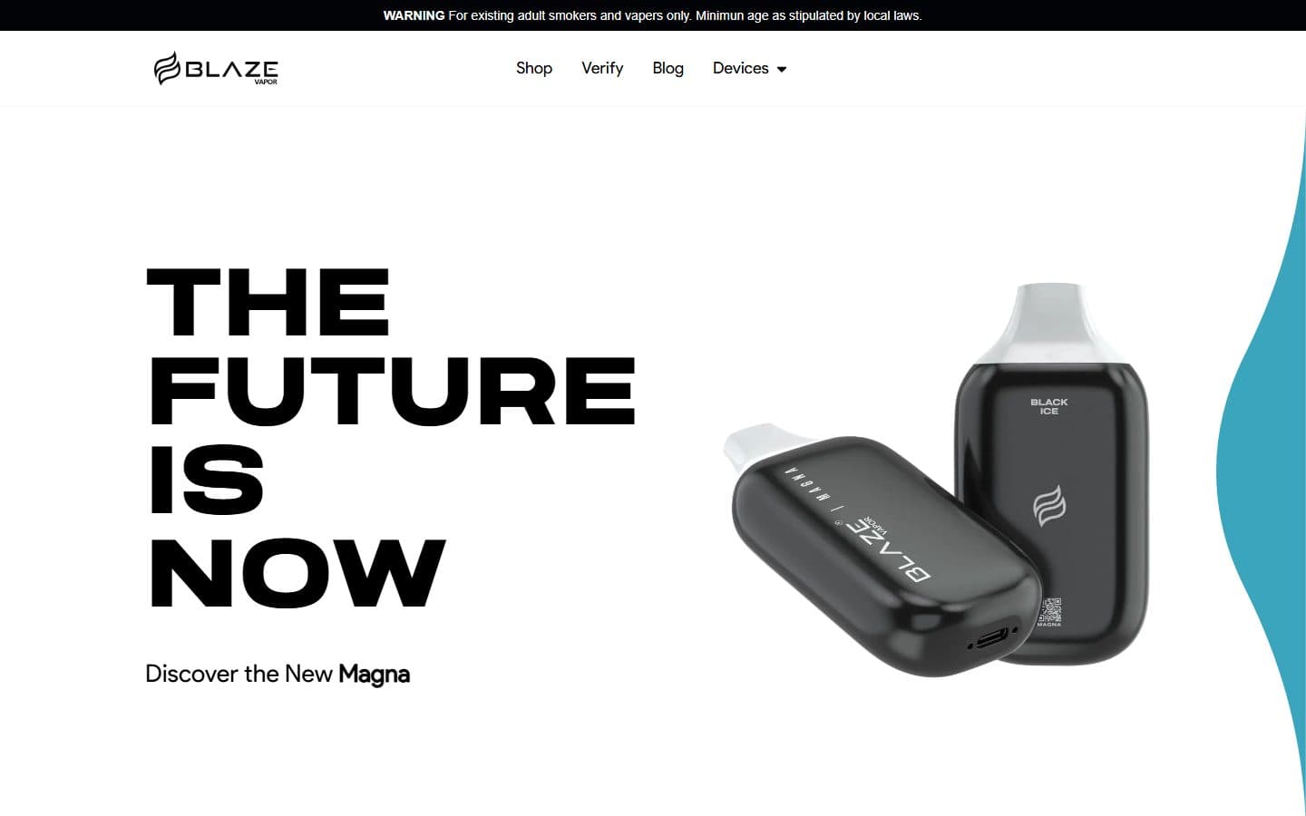 Portada del sitio de Blaze Vapor
